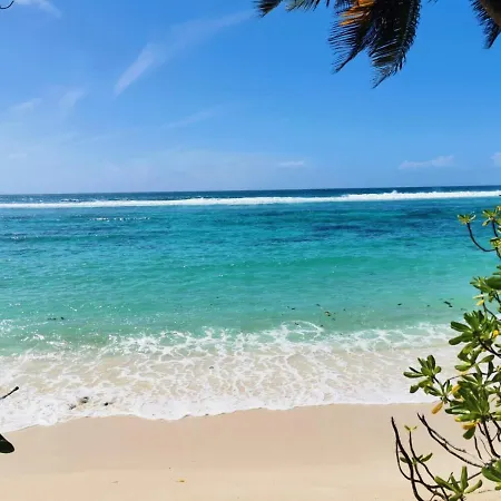 Chalets d'Anse Forbans SelfCatering