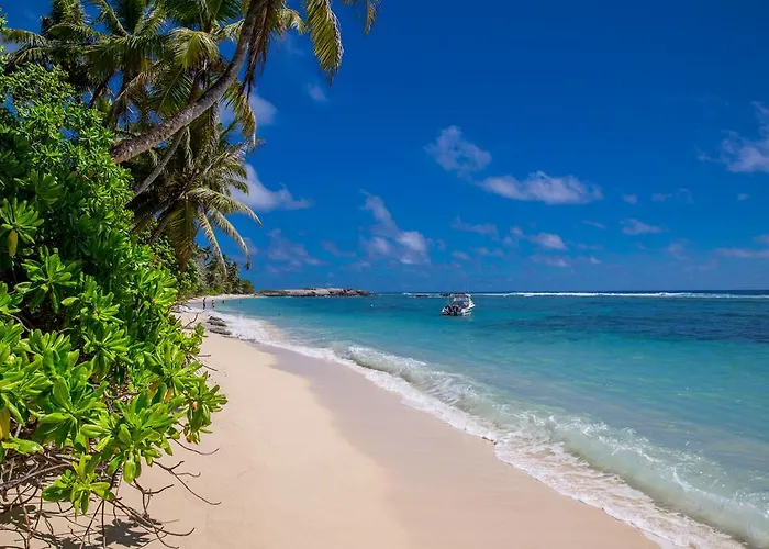 Chalet D'anse Forbans Selfcatering *