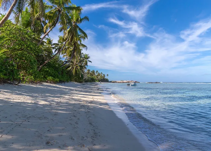 Chalet D'anse Forbans Selfcatering